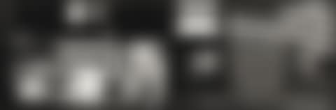 'PARADE IN HOBOKEN, N. J.' (DIPTYCH) (preview)