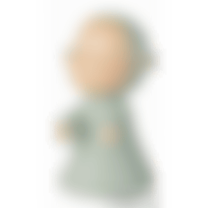 The little wanderer (preview)