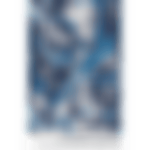 SPLITTING HORIZON NO. 10 (preview)