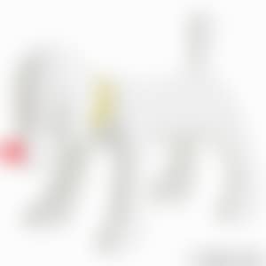 DOGGY RADIO (preview)