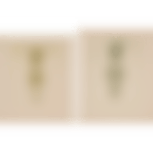 1-2. Untitled (preview)
