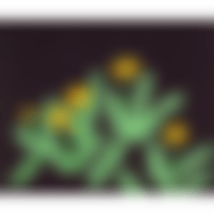 DANDELIONS (Kusama 85) (preview)