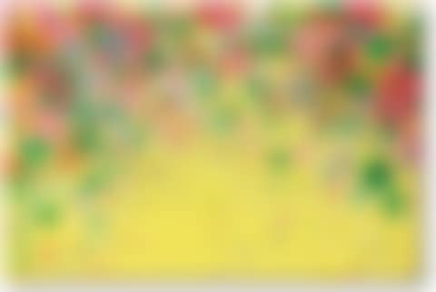 TEN MILES FLY RED LITTLE FLOWERS (preview)