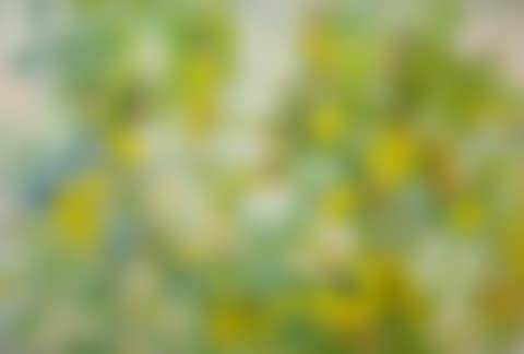 FILLES DANS LE JARDIN (GIRLS IN THE GARDEN) (preview)