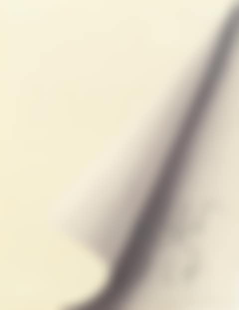Blattecke (Butin 11) (preview)