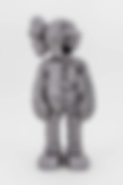 (ORIGINALFAKE) COMPANION (preview)