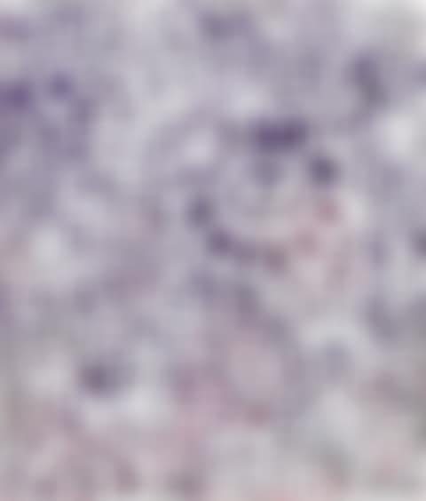 UNTITLED (FLOWER COLLABORATION WITH MADSAKI) (preview)