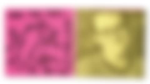 Untitled (For the Pup) (preview)