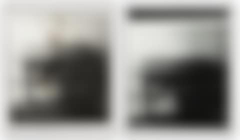 UNTITLED (DIPTYCH) (preview)