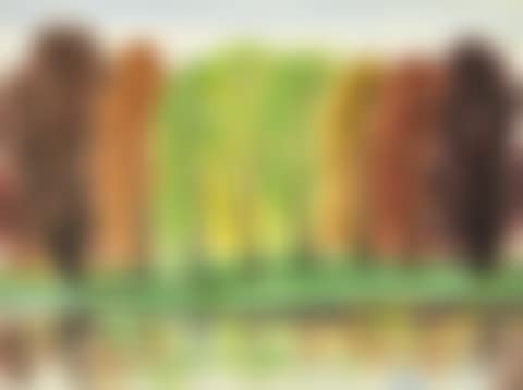 AUTUMN RIVER SCENERY (preview)