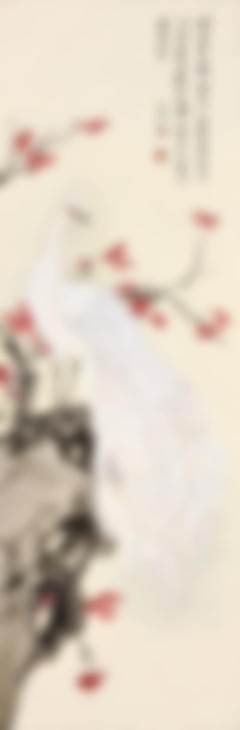 WHITE PEACOCK (preview)