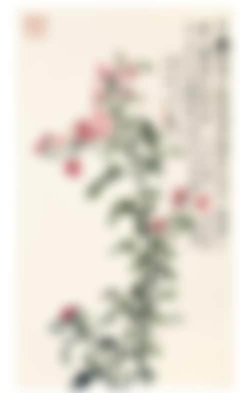 CHINESE FLOWERING APPLE (preview)