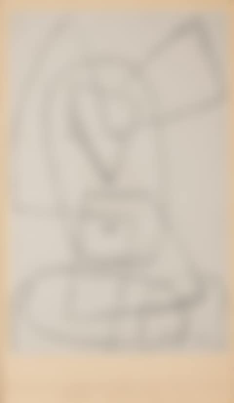 Robuster Narr (preview)