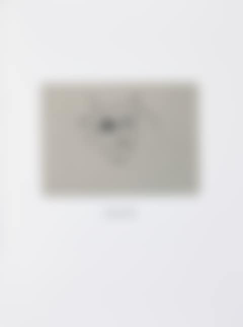 Ulysses (preview)