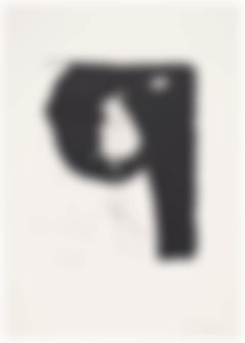 Poet II (preview)