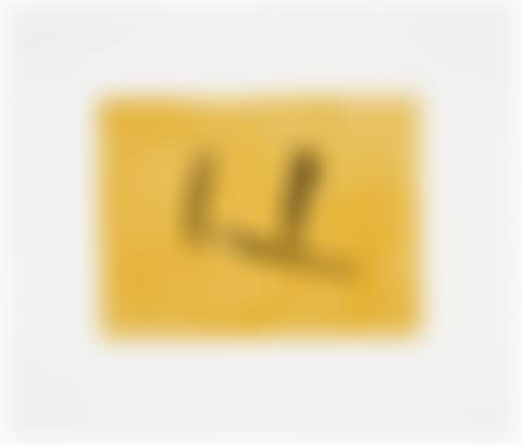 Window (preview)