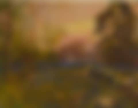 WOODLAND LANDSCAPE AT SUNSET (preview)