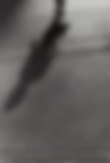 Untitled (shadows, woman with handbag) (preview)