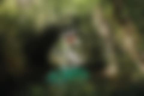 La femme et L'oiseau fontaine (preview)
