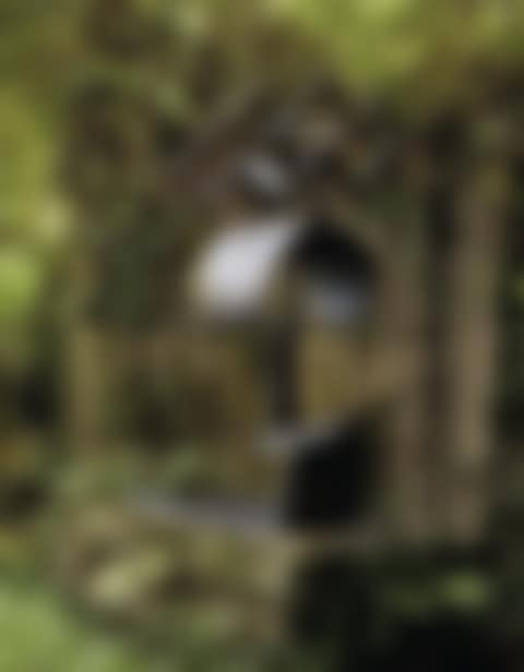 Château noir (preview)