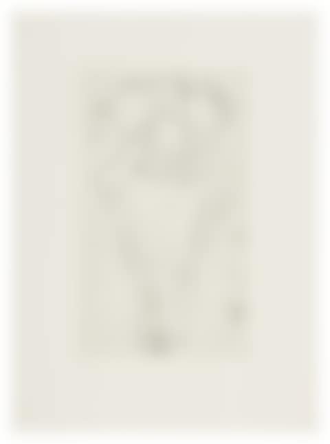 ANATOMY (MOMA 1041-1052) (preview)