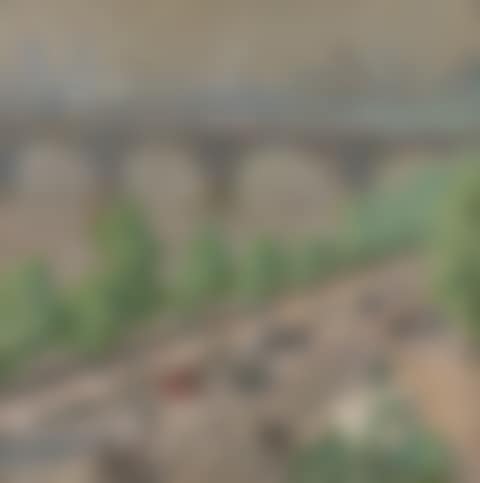 Les arbres verts (preview)