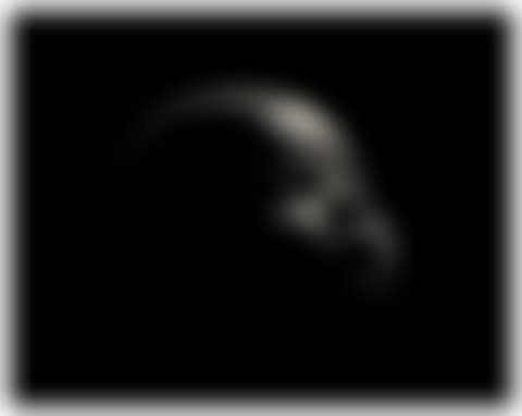Untitled (Una) (preview)