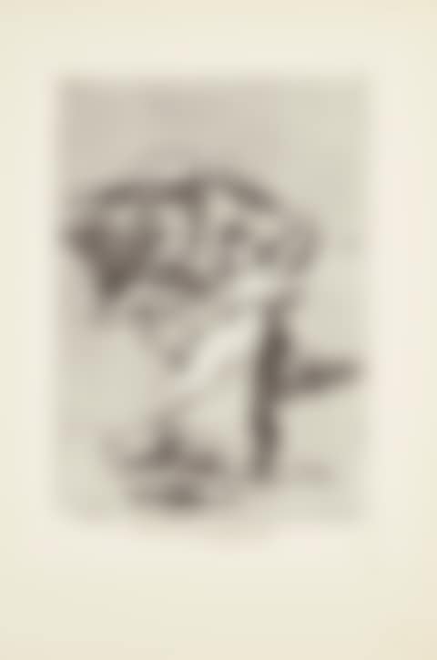You will not escape (No te escaparas)  Plate 72 from: Los Caprichos (preview)