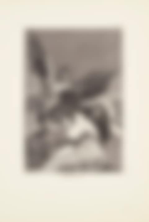 Tale-bearers - Blasts of wind (Soplones)  Plate 48 from: Los Caprichos (preview)