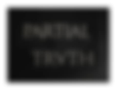 PARTIAL TRUTH (preview)
