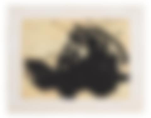 FLESH AUTOMATISM (WALKER ART CENTER 346) (preview)