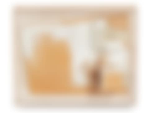 P.S.1 PROJECT MODEL (1) (preview)