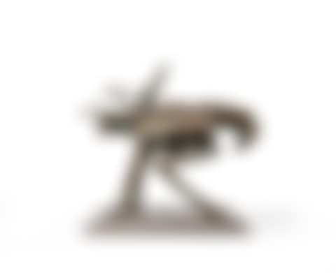 ANIMAL (preview)