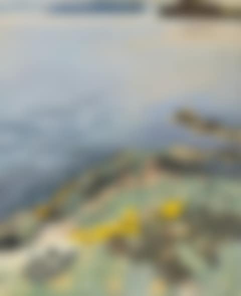 High Tide (preview)