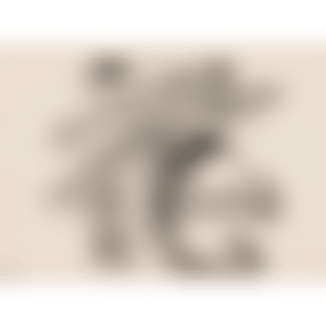 Hana (Flower) (preview)