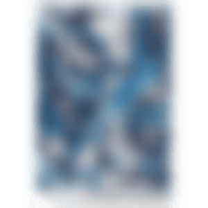 SPLITTING HORIZON NO. 10 (preview)