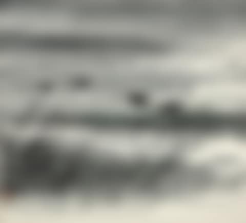 GEESE FLYING BY THE REEDS (preview)
