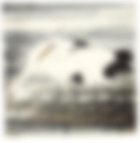TWO CRANES (preview)