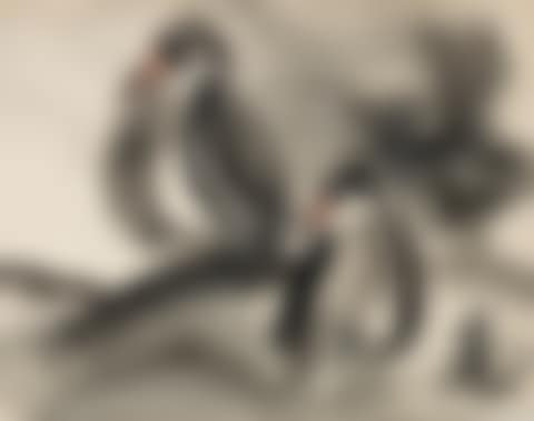 Two Birds (preview)