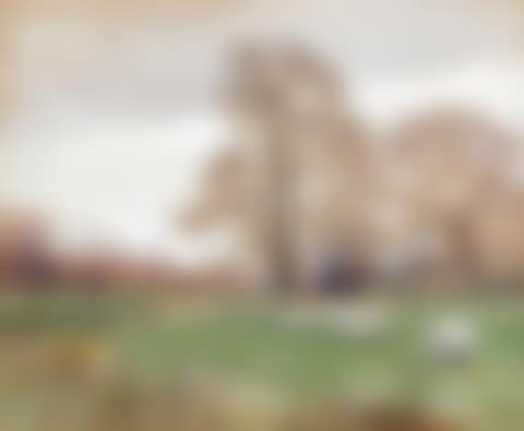 Sheep grazing a meadow (preview)