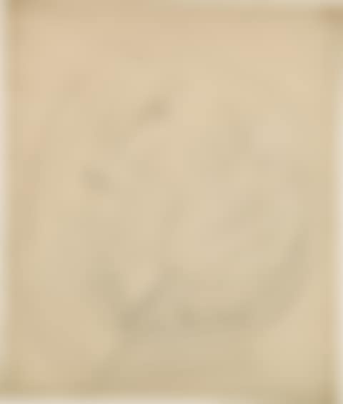 STUDY FOR BIRTH (preview)