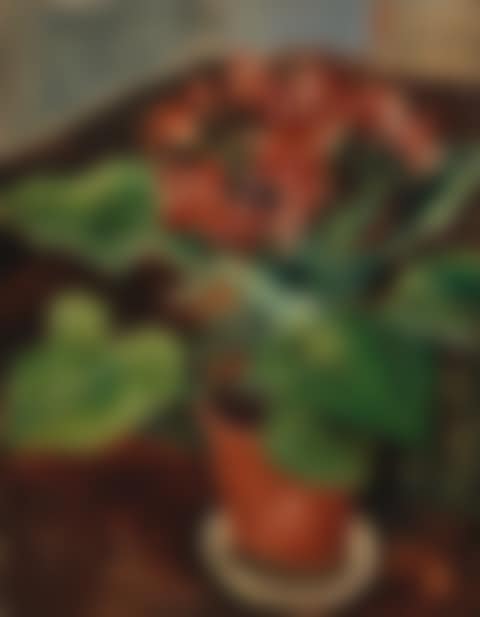 A Cineraria in a Pot on a Table (preview)