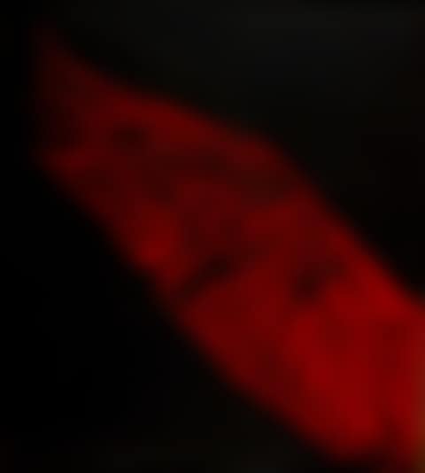 Untitled (Viktor’s Wing) (preview)