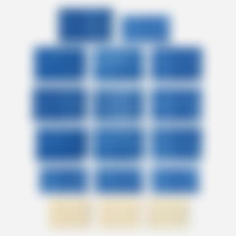 Levy House blueprints (preview)