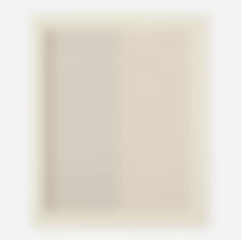 Homage to Barnett Newman (preview)