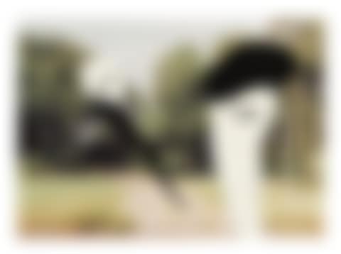 UT (preview)