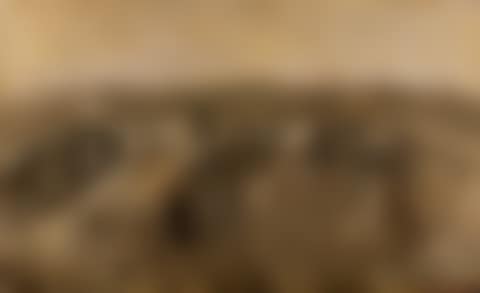 Untitled  (preview)
