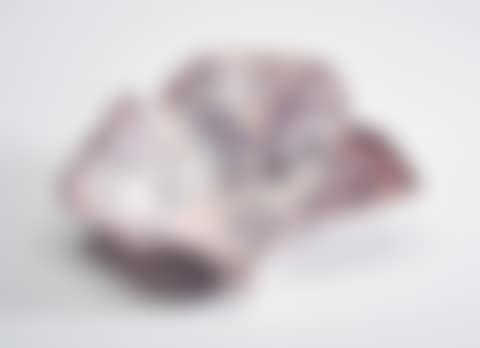 FOGLIA (preview)