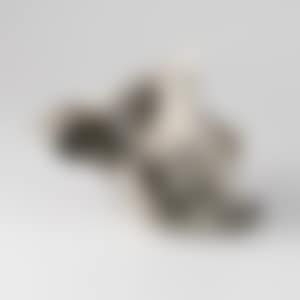 Newspaper - 1860 M. (preview)