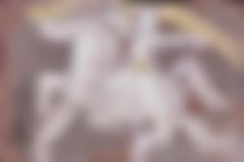 Horse Rider (preview)